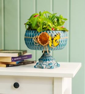 Antik Saksıda Kaktüs ve Sukulentler