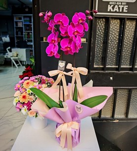 Gökkuşağı Orkide